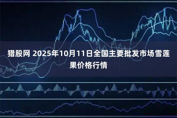 猎股网 2025年10月11日全国主要批发市场雪莲果价格行情